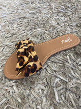 STASSI SLIDES