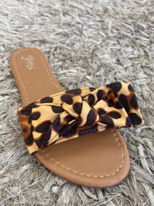 STASSI SLIDES